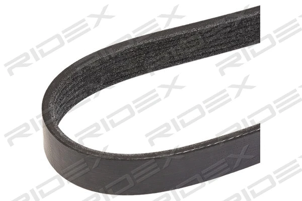 V-Ribbed Belt (305P0064)