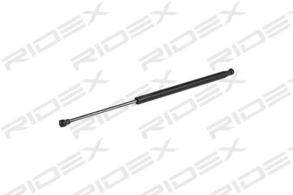 Gas Spring, boot/cargo area (219G0516)