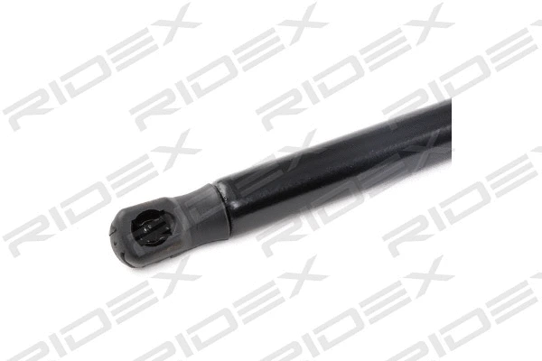 Gas Spring, boot/cargo area (219G0607)