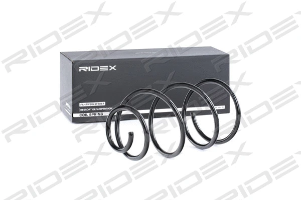 Suspension Spring (188C0302)