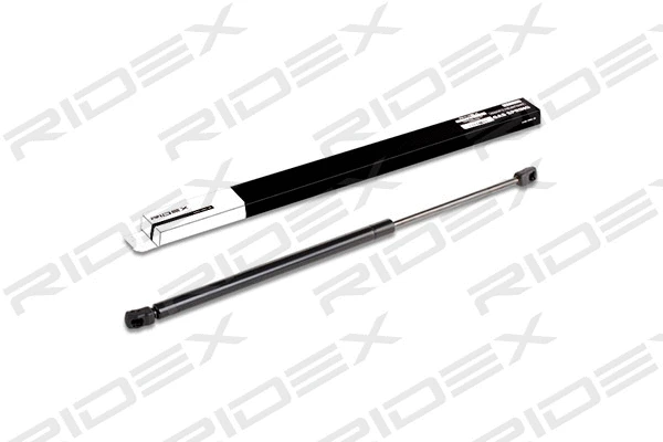 Gas Spring, boot/cargo area (219G0077)