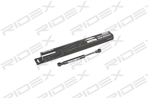 Gas Spring, boot/cargo area (219G0462)