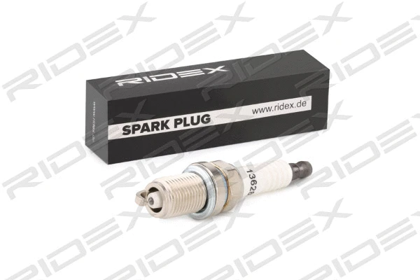 Spark Plug