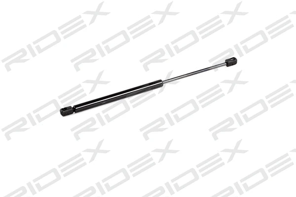 Gas Spring, boot/cargo area (219G0018)
