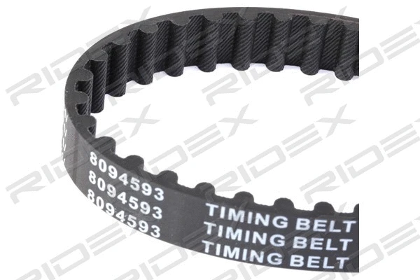 Timing Belt (306T0021)