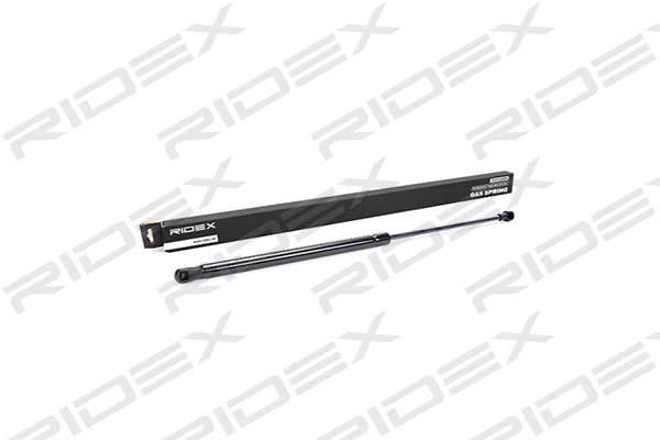 Gas Spring, boot/cargo area (219G0021)