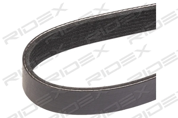 V-Ribbed Belt (305P0439)