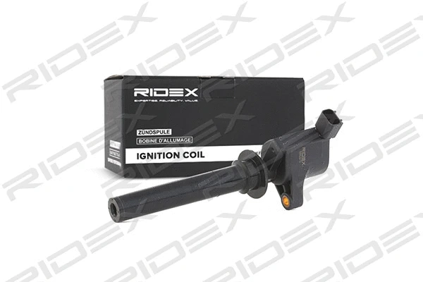 Ignition Coil (689C0072)