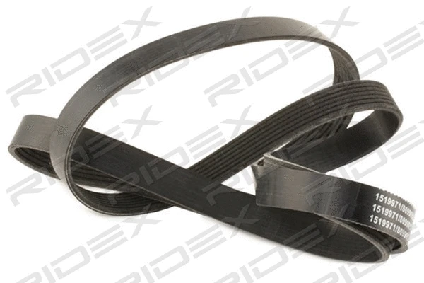 V-Ribbed Belt (305P0362)