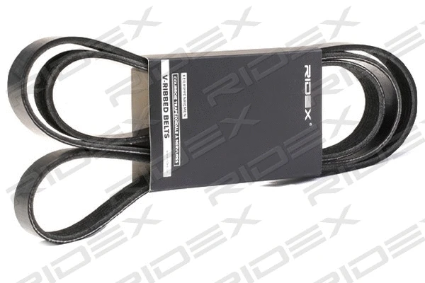 V-Ribbed Belt (305P0379)
