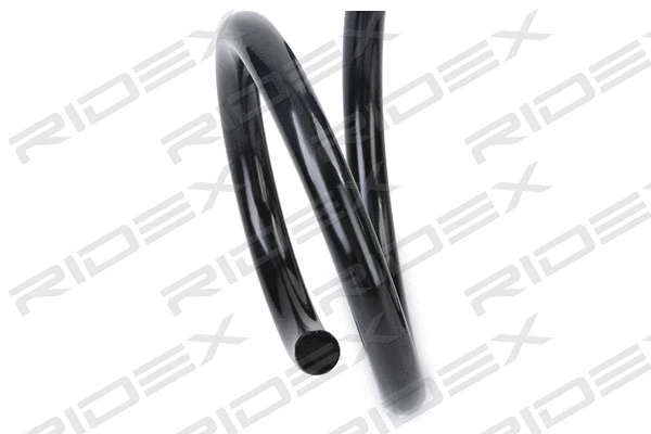 Suspension Spring (188C0607)