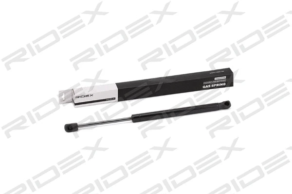 Gas Spring, boot/cargo area