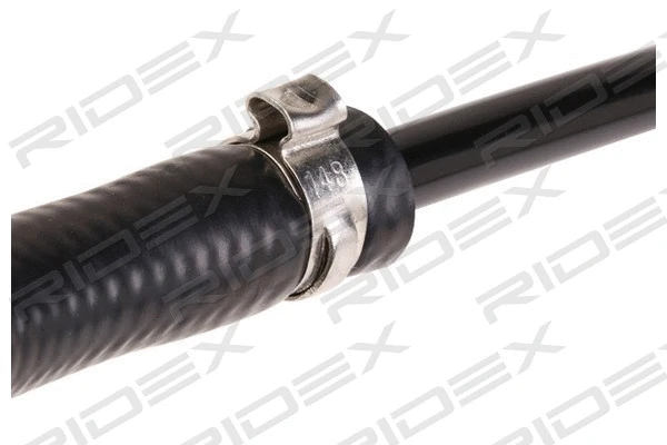 Radiator Hose