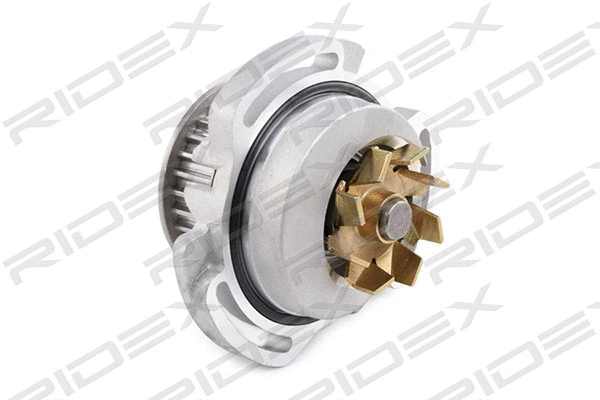 Water Pump & Timing Belt Kit (3096W0136)