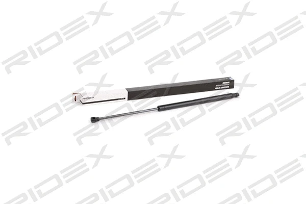 Gas Spring, boot/cargo area