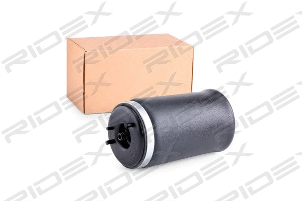 Air Spring, suspension (4119A0010)