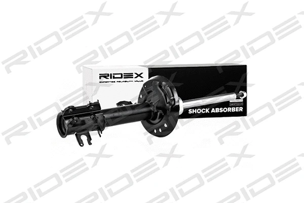 Shock Absorber