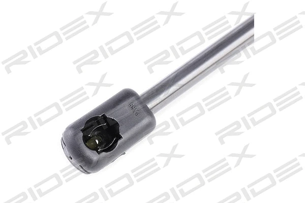 Gas Spring, boot/cargo area (219G0451)