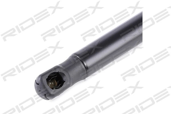Gas Spring, boot/cargo area (219G0775)