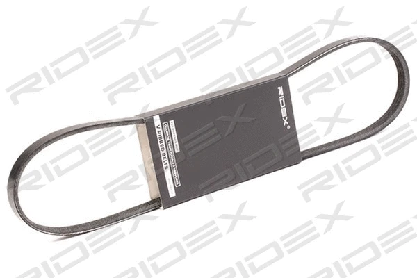 V-Ribbed Belt (305P0016)
