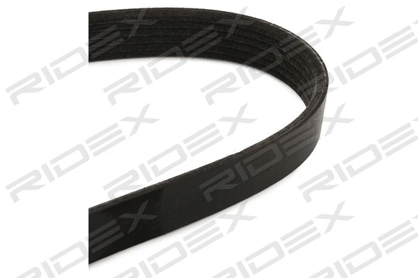 V-Ribbed Belt