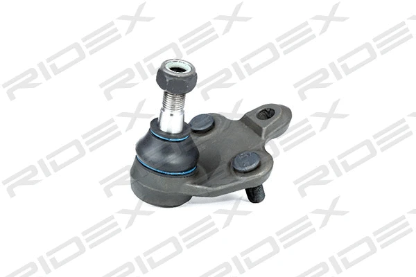 Ball Joint (2462S0204)