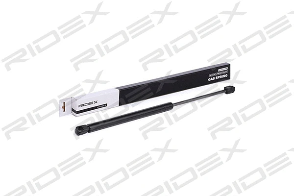 Gas Spring, boot/cargo area (219G0268)