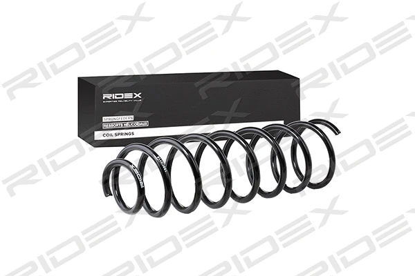 Suspension Spring (188C0116)