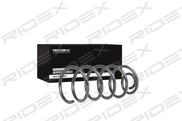 Suspension Spring (188C0249)