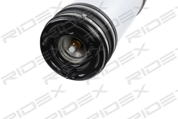 Air Suspension Strut (4118A0005)