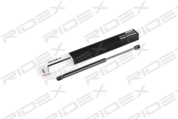Gas Spring, rear window (219G0472)