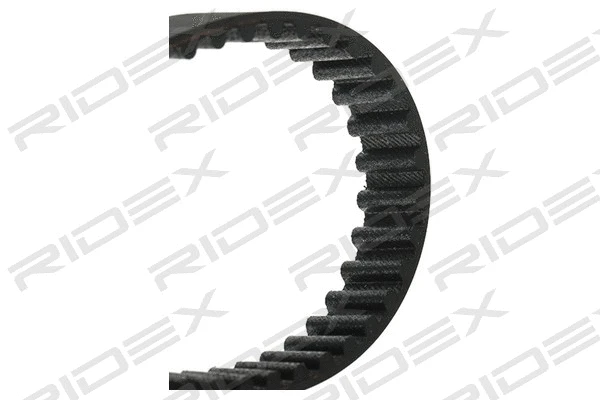 Timing Belt