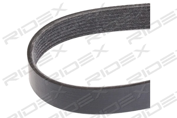V-Ribbed Belt (305P0456)
