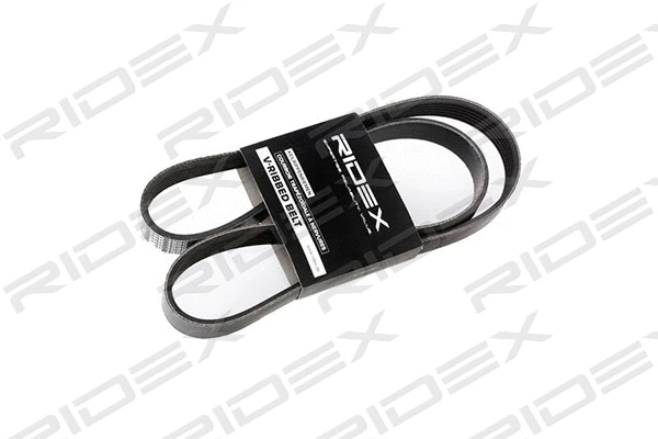 V-Ribbed Belt (305P0141)