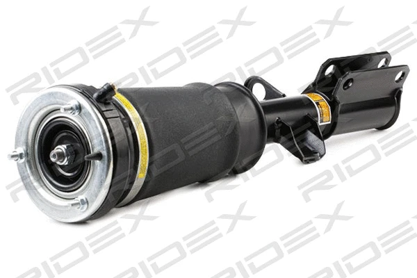 Air Suspension Strut (4118A0040)