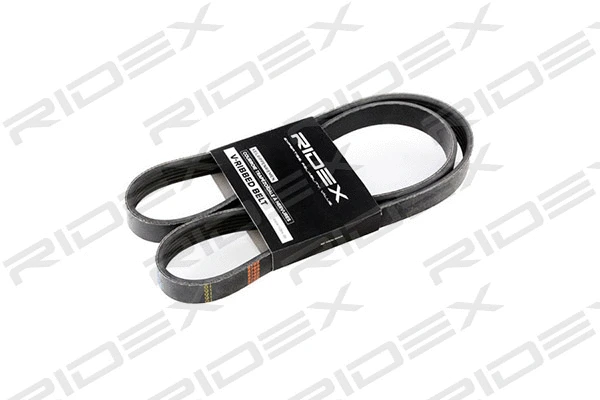 V-Ribbed Belt (305P0163)