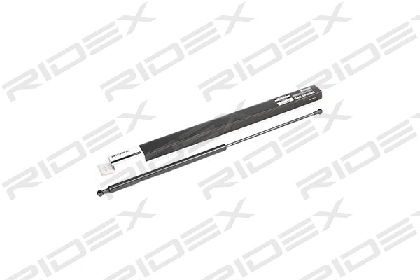 Gas Spring, boot/cargo area (219G0169)