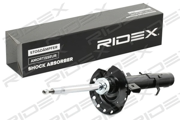 Shock Absorber