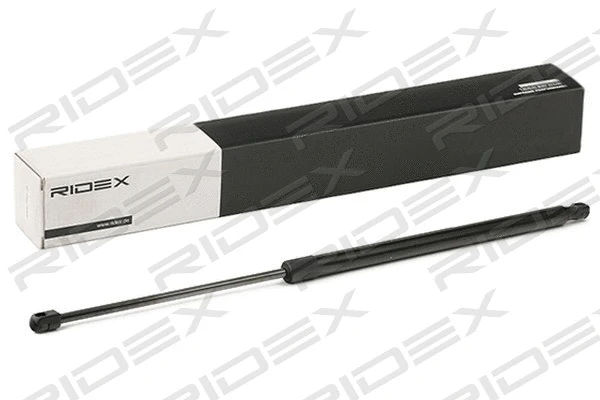 Gas Spring, boot/cargo area