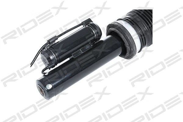 Air Suspension Strut (4118A0007)
