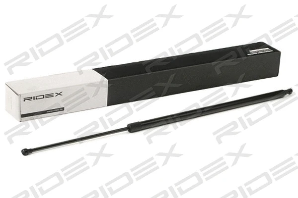 Gas Spring, boot/cargo area (219G0942)
