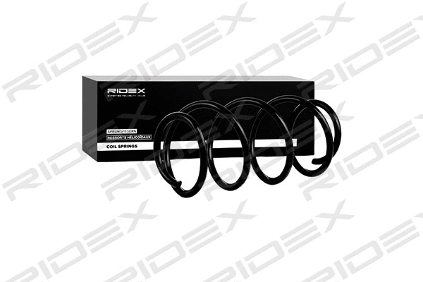 Suspension Spring (188C0228)