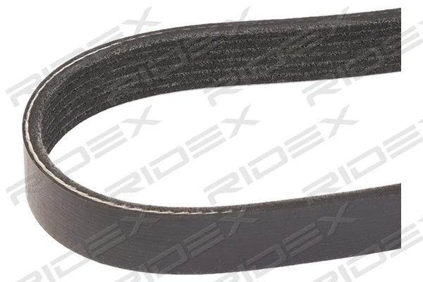 V-Ribbed Belt (305P0215)