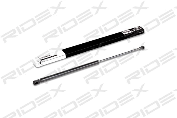 Gas Spring, boot/cargo area (219G0142)