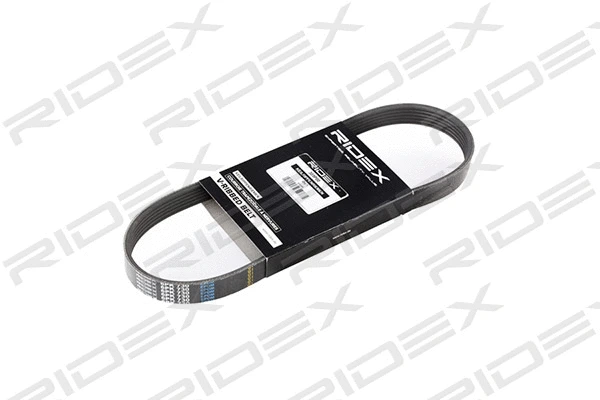 V-Ribbed Belt (305P0195)
