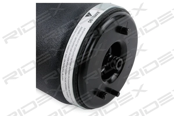 Air Suspension Strut (4118A0065)