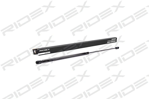 Gas Spring, boot/cargo area (219G0083)
