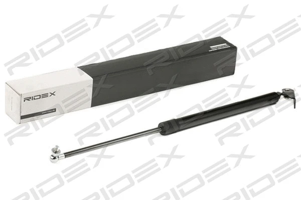 Gas Spring, boot/cargo area