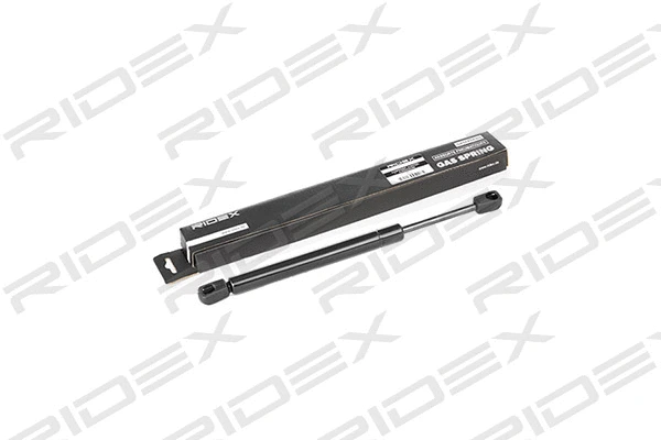 Gas Spring, boot/cargo area (219G0224)
