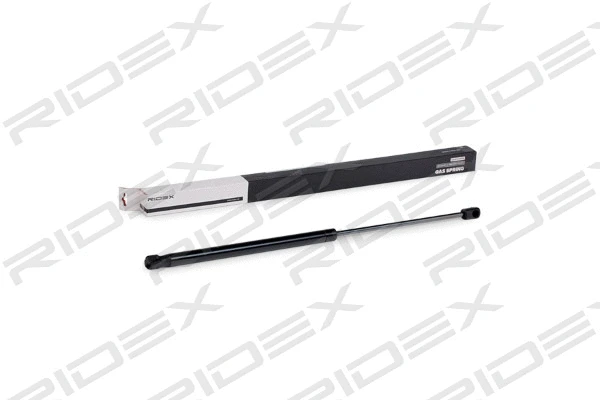 Gas Spring, boot/cargo area (219G0590)